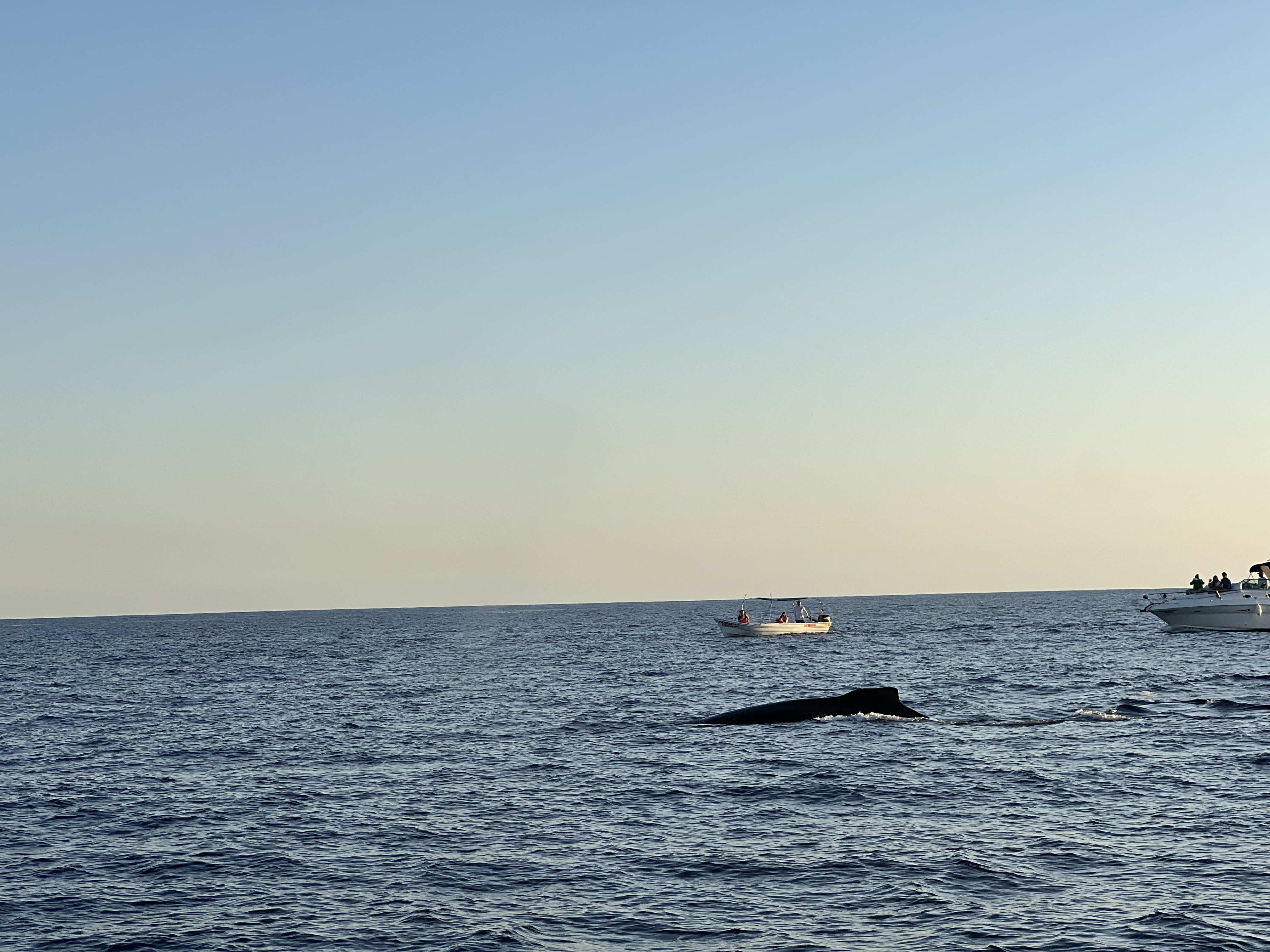 ./2024/13 - Cabo/IMG_4713.jpg